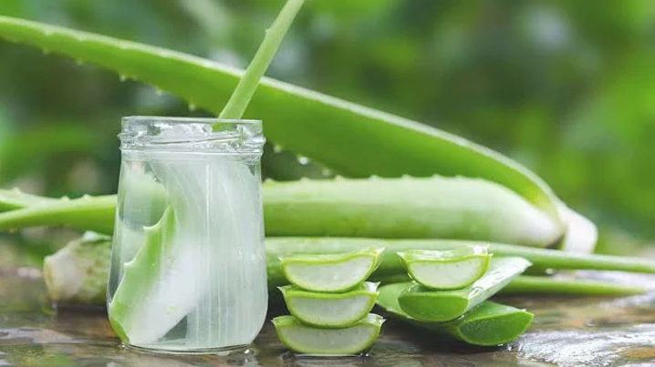 beneficial medicinal plant