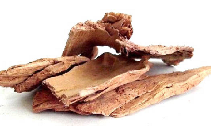 Advantages and disadvantages of Arjuna bark